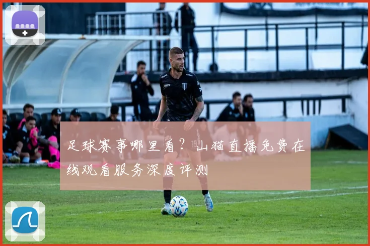 足球赛事哪里看？山猫直播免费在线观看服务深度评测