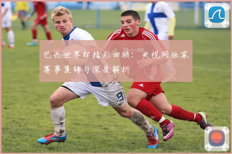 巴西世界杯精彩回顾：央视网独家赛事集锦与深度解析