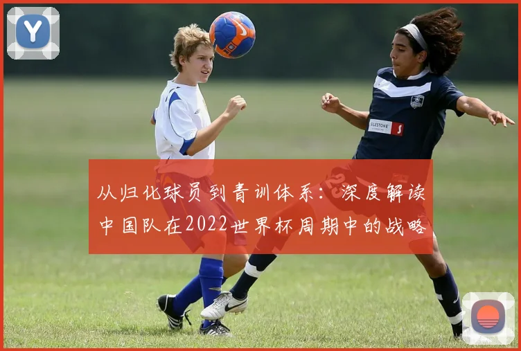 从归化球员到青训体系：深度解读中国队在2022世界杯周期中的战略得失