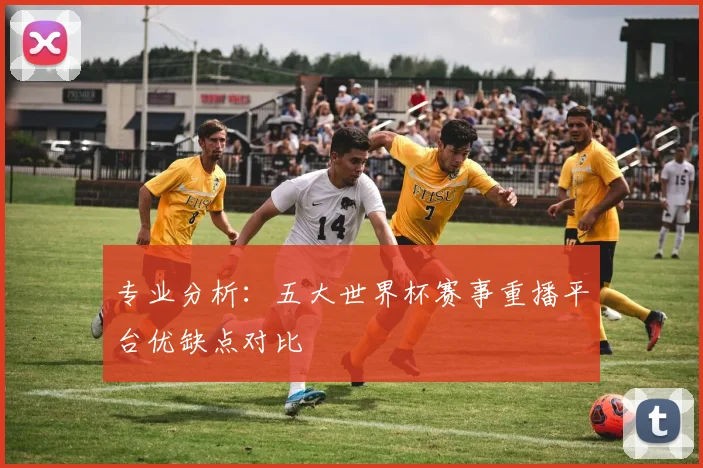专业分析：五大世界杯赛事重播平台优缺点对比